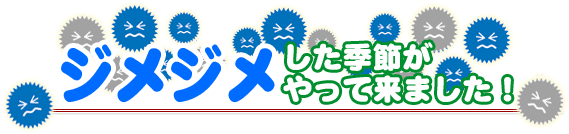 ジメジメした季節がやって来ました!